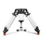 Petites Branches O'Connor Base Mitchell