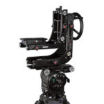 Tête Fluide CARTONI Total Dutch