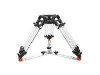 Petites Branches OCONNOR - Base Mitchell