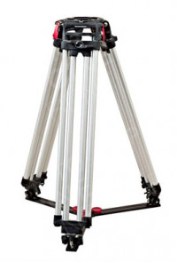 Petites Branches OCONNOR - Base Mitchell – Image 2